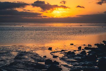 Coucher de soleil sur la mer du Nord sur Catrin Grabowski