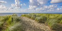 Strand, zee en zon in de zomer