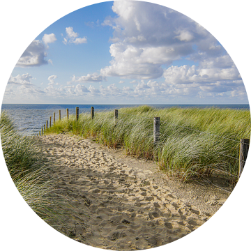 Strand, zee en zon in de zomer van Dirk van Egmond