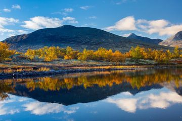 Dørålen Herbst von Sven-Erik Arndt