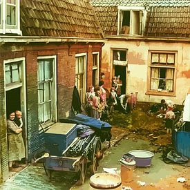 219. De Kroonhof van Domstad Rudie