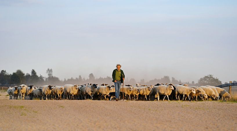 Schäfer mit Herde kehrt nach Hause zurück von Riekus Reinders