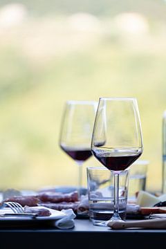 Having a drink with red wine by Desirée de Beer