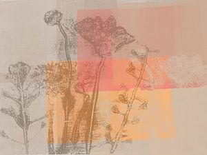 Blumen in Taupe auf Gelb und Rosa
