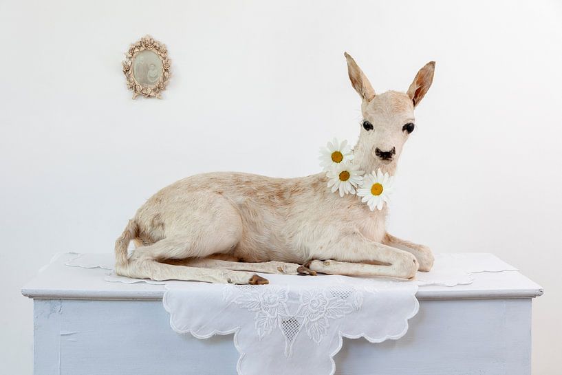 An unexpected guest by Diane Cruysberghs