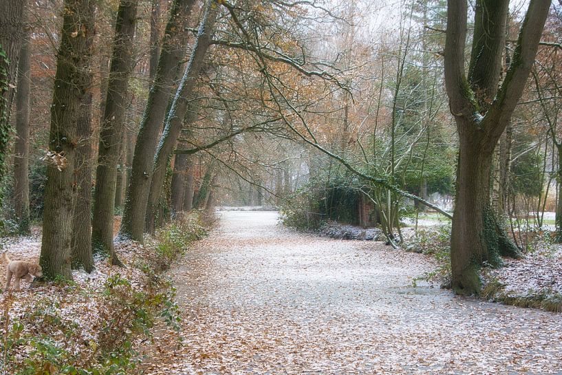 Sloot in winterse sferen. by GeFo @photo