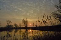 pleasant sunrise
