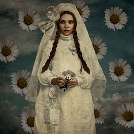 Vintage Beauty White Daisies Summer by Yvonne Zeldenthuis