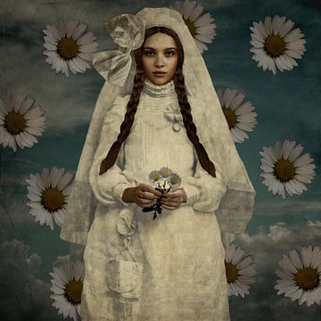 Vintage Beauty White Daisies Summer