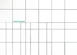 Nooduitgang van Maerten Prins