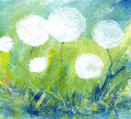 Allium Mont Blanc von Katarina Niksic