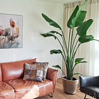 Klantfoto: Droge bloemen boeket van Treechild, als ArtFrame