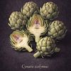 Artisjokken – Cynara scolymus van Bert Quaedvlieg
