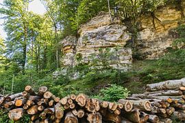 große felsformationen im wald von mullerthal in luxemburg von ChrisWillemsen