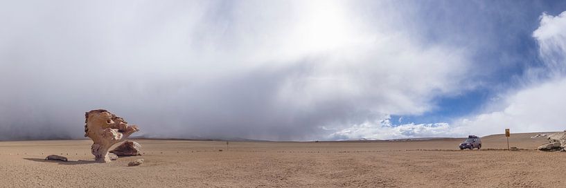 Árbol de Piedra par calvaine8