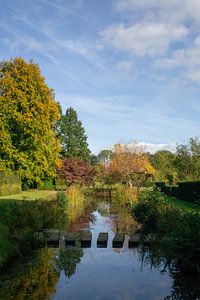 Autumn colours.