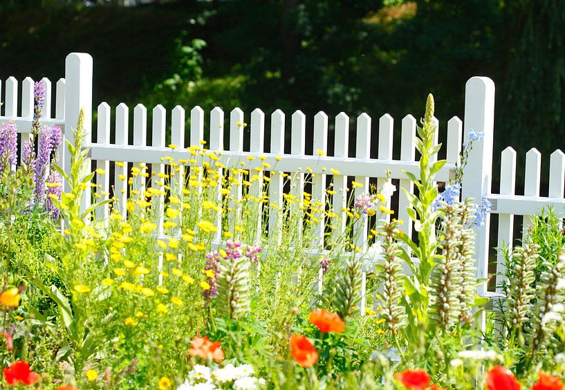 Weisser Gartenzaun mit Blumen von Torsten Krüger