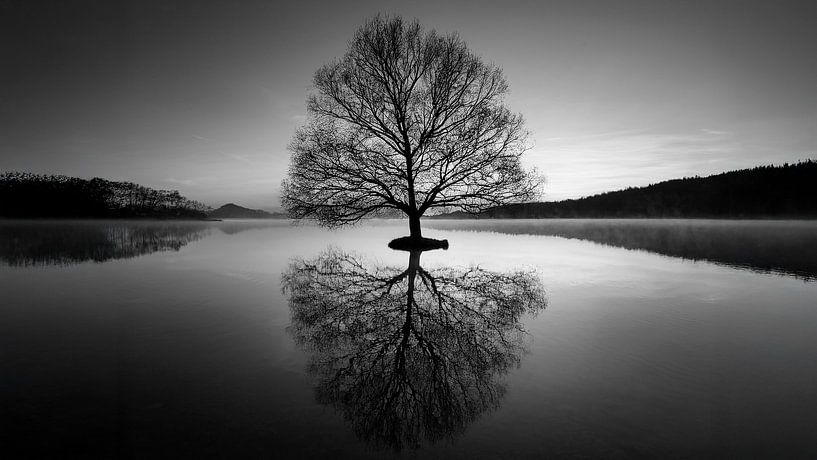 “Stilte in Reflectie” van Retinas images