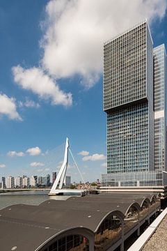 Die Rotterdam und die Erasmusbrücke (vertikal) von John Verbruggen