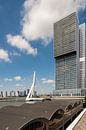 De Rotterdam en de Erasmusbrug (verticaal) van John Verbruggen thumbnail