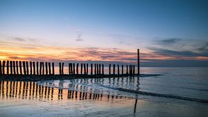 Pole bei Sonnenuntergang am Strand