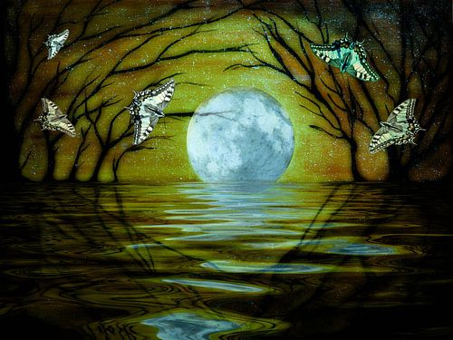 Dreamland