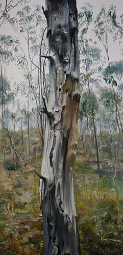 Australische Landschap boomstam