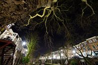 Oudegracht mit der Smeebrug im Hintergrund in Utrecht von Donker Utrecht Miniaturansicht