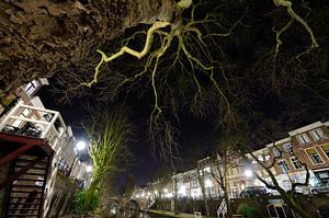 Oudegracht mit der Smeebrug im Hintergrund in Utrecht