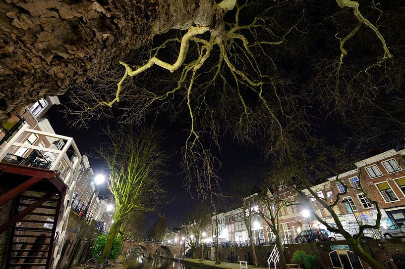 Oudegracht mit der Smeebrug im Hintergrund in Utrecht von Donker Utrecht