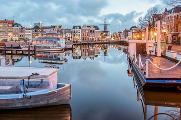 Galgewater Leiden von Dirk van Egmond