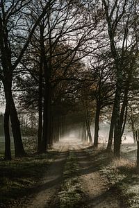 Herfst ochtend in Nederland van Wianda Bongen