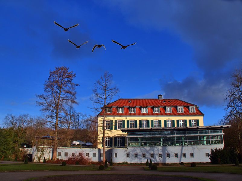 Oies avec serrure par Edgar Schermaul