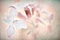 Wilde bloemen in pastel van Francis Dost thumbnail