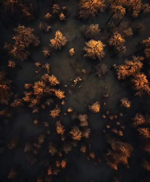 Herfstsfeer van fernlichtsicht