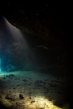 Traumlandschaft unter Wasser von Marieke_van_Tienhoven