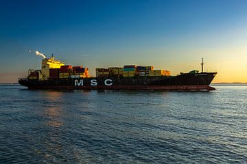 MSC passeert de kustlijn van Vlissingen van MSP Canvas