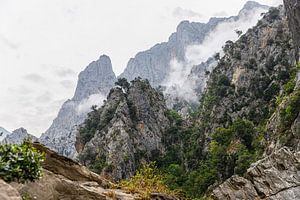 Bergen met wolken (Picos de Europa)