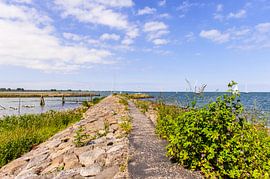 A Dutch shoreline by Brian Morgan