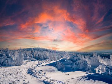 Verschneite Winterlandschaft im Erzgebirge von Animaflora PicsStock