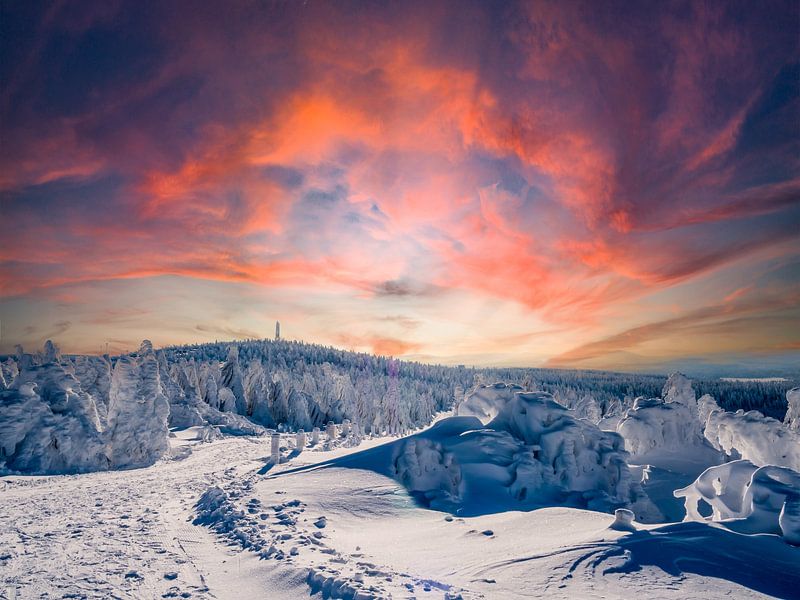 Snowy winter landscape in the Ore Mountains by Animaflora PicsStock