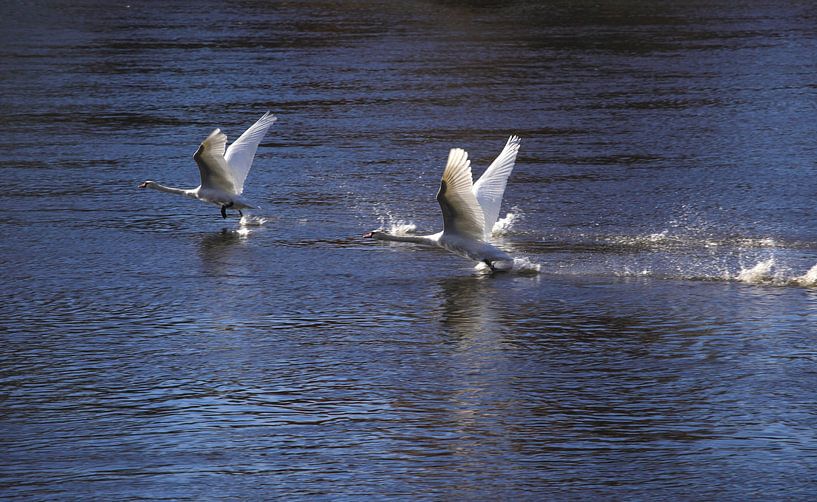 Start by Thomas Jäger