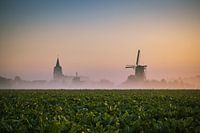 Lever de soleil brumeux à Wouw, Noord-Brabant