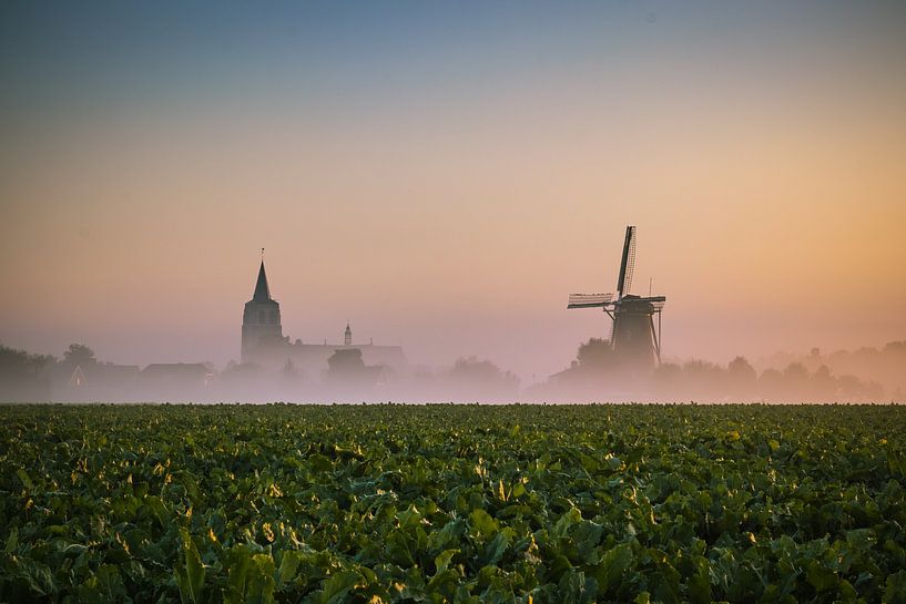 Foggy sunrise in Wouw, North Brabant by Rick van Geel