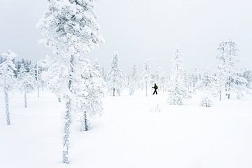 Wandelaar in sneeuwlandschap van Sam Mannaerts