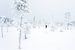 Spaziergänger in verschneiter Landschaft von Sam Mannaerts
