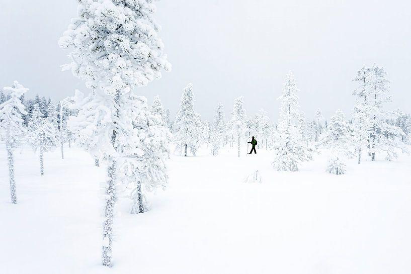 Wandelaar in sneeuwlandschap van Sam Mannaerts