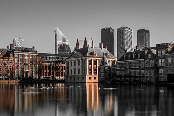 Mauritshuis, Den Haag van Michael Fousert