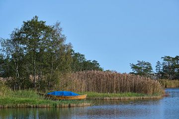 Boot im Schilf von Geertjan Plooijer