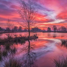 Colourful sunrise on the Dwingelderveld, Drenthe by Bea Budai